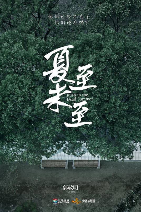 夏至未至（2017年陈学冬、白敬亭主演的青春偶像剧）