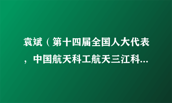 袁斌（第十四届全国人大代表，中国航天科工航天三江科技委常委）