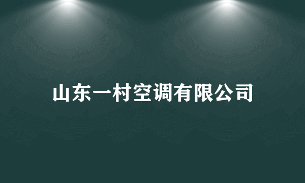 山东一村空调有限公司