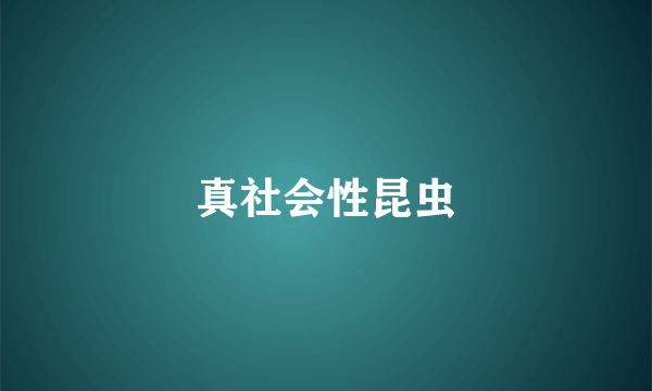 真社会性昆虫