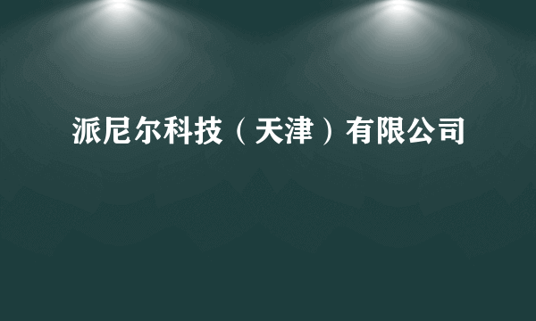 派尼尔科技（天津）有限公司