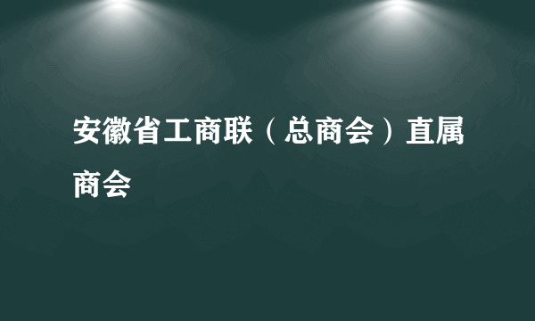安徽省工商联（总商会）直属商会