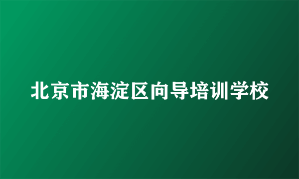 北京市海淀区向导培训学校