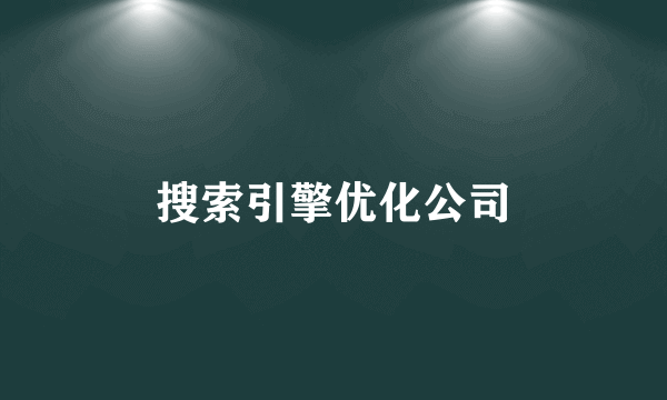 搜索引擎优化公司