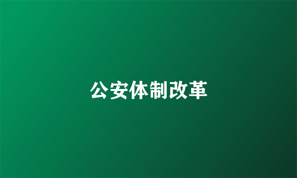 公安体制改革