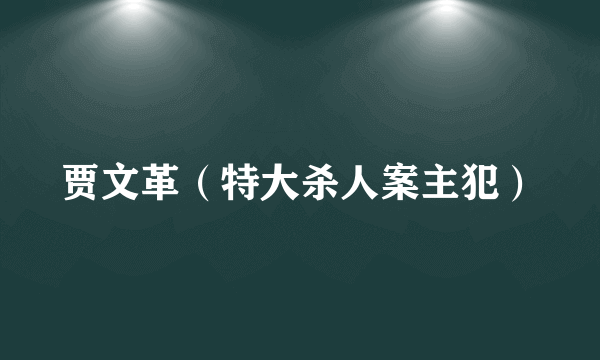贾文革（特大杀人案主犯）