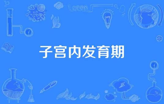 子宫内发育期