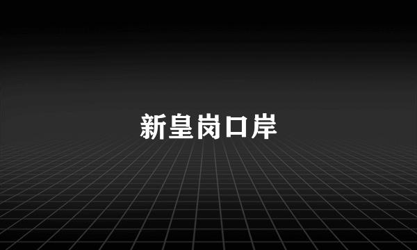 新皇岗口岸