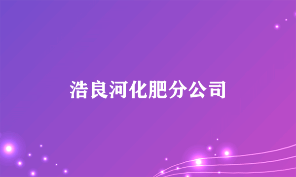 浩良河化肥分公司