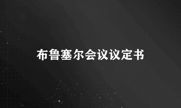 布鲁塞尔会议议定书