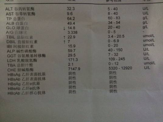 乙肝阴性
