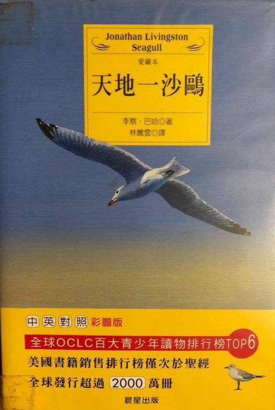 天地一沙鸥（2004年香港文化研究社出版的图书）