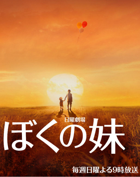 我的妹妹（日本2009年小田切让主演的电视剧）