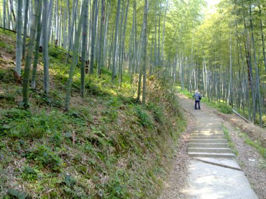 观音岭古道