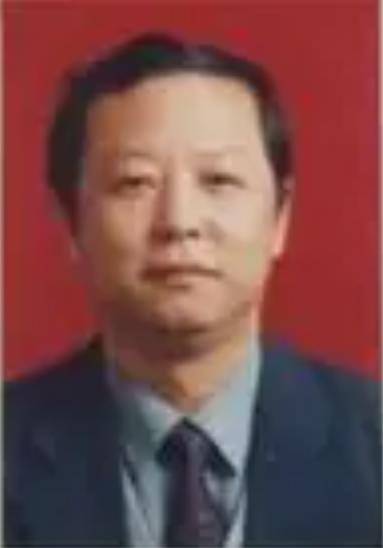 马保国（武汉理工大学材料学院博士生导师）