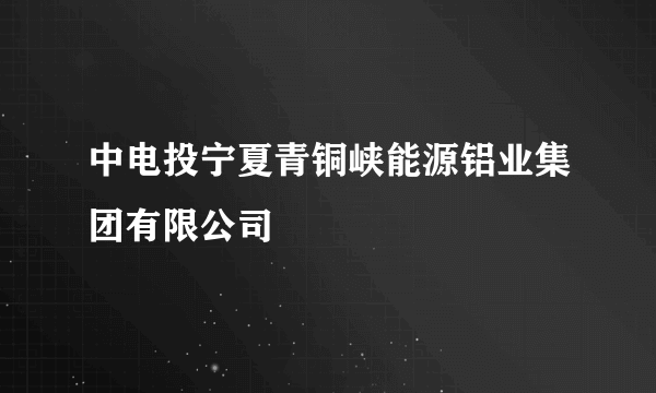 中电投宁夏青铜峡能源铝业集团有限公司