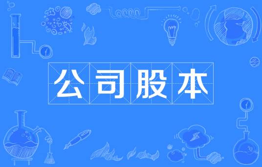 公司股本