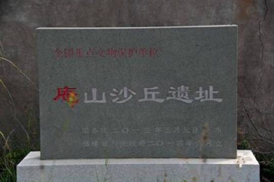庵山沙丘遗址