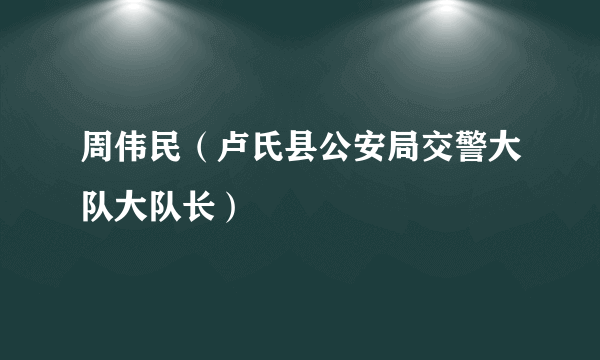 周伟民（卢氏县公安局交警大队大队长）