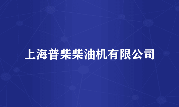上海普柴柴油机有限公司