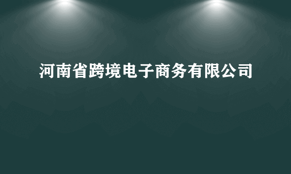 河南省跨境电子商务有限公司
