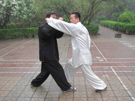 宋氏形意拳（中国传统武术拳法）