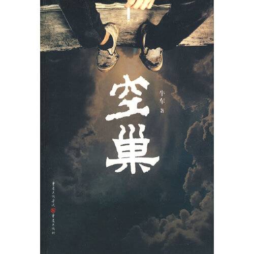 空巢（2008年重庆出版社出版的图书）