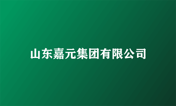 山东嘉元集团有限公司