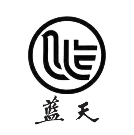 天津蓝天集团股份有限公司