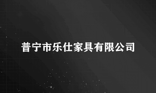 普宁市乐仕家具有限公司