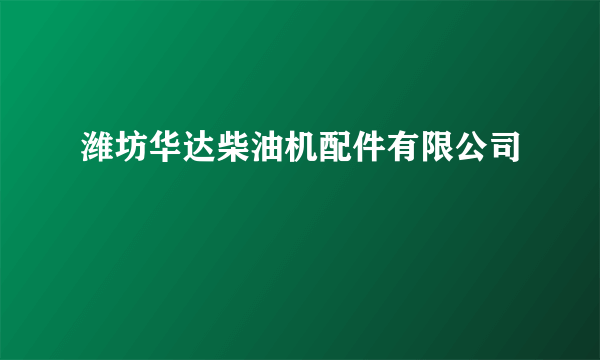 潍坊华达柴油机配件有限公司