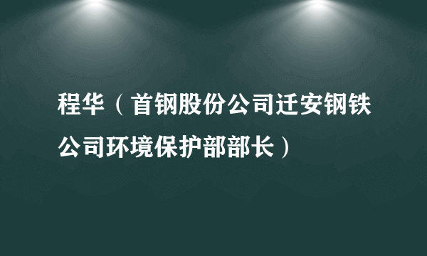 程华（首钢股份公司迁安钢铁公司环境保护部部长）