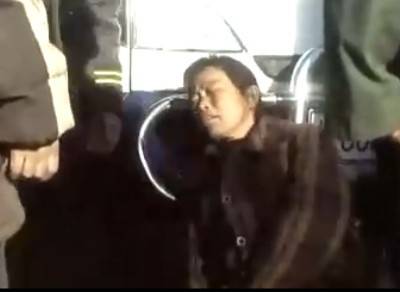 邮递员（2008年刘涛执导的情感电影）