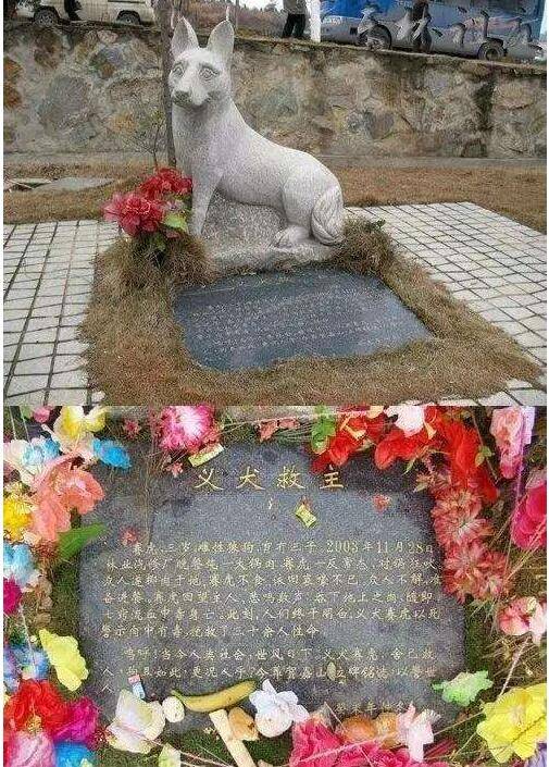赛虎（舍身尝毒救人的义犬）