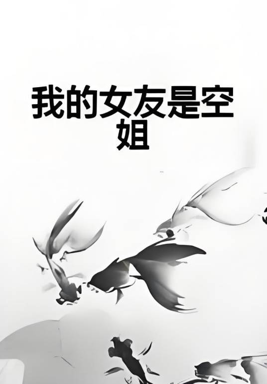 我的女友是空姐