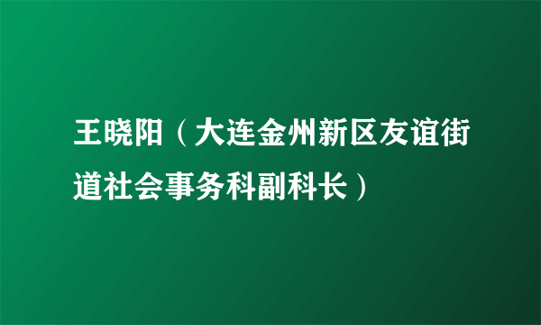 王晓阳（大连金州新区友谊街道社会事务科副科长）