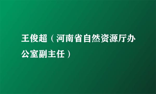 王俊超（河南省自然资源厅办公室副主任）