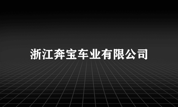 浙江奔宝车业有限公司