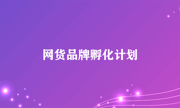 网货品牌孵化计划
