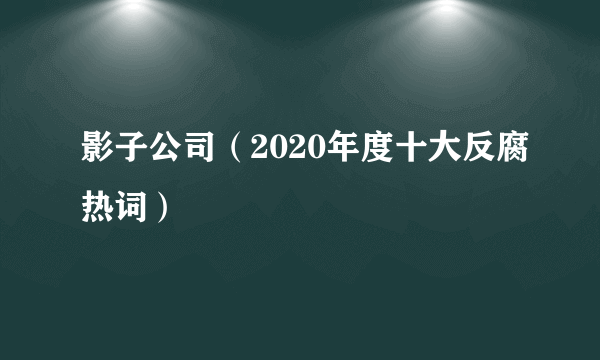 影子公司（2020年度十大反腐热词）