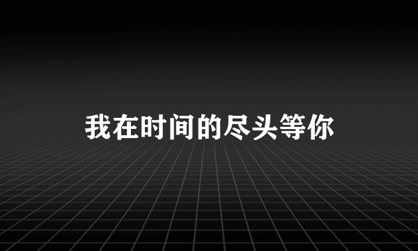 我在时间的尽头等你