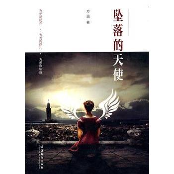 坠落的天使（2010年文化艺术出版社出版的图书）