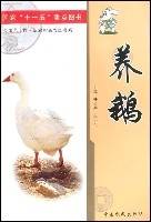 养鹅（国家“十一五”重点图书）