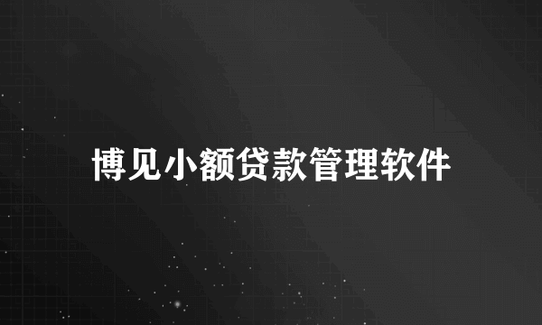 博见小额贷款管理软件