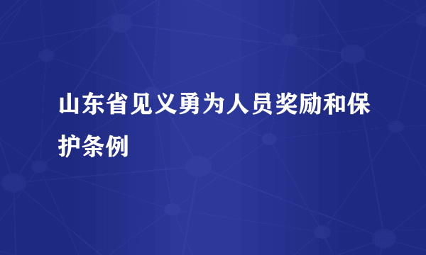 山东省见义勇为人员奖励和保护条例