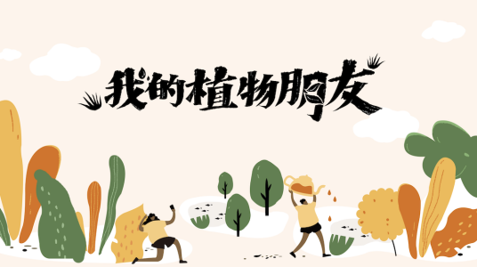 我的植物朋友