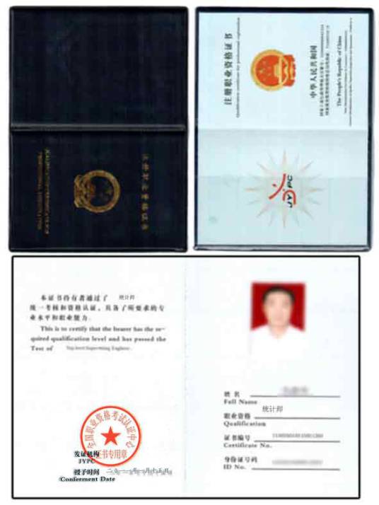 高级统计师