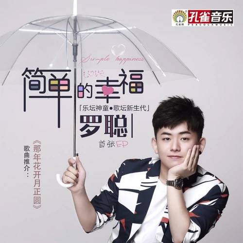 那年花开月正圆（中国内地知名歌手罗聪演唱歌曲）