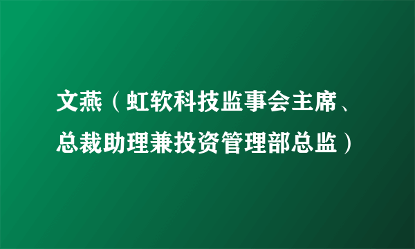文燕（虹软科技监事会主席、总裁助理兼投资管理部总监）