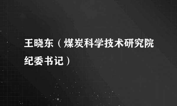 王晓东（煤炭科学技术研究院纪委书记）